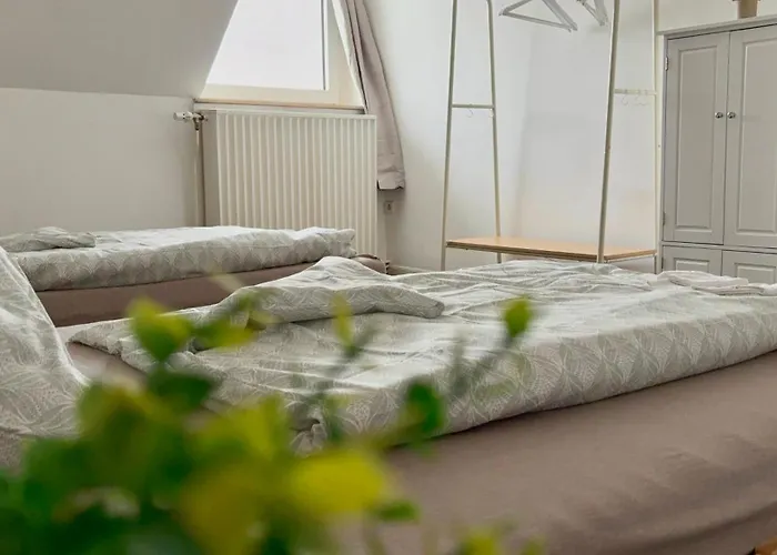 Appartement Moderne Mit Komfort & Top-lage